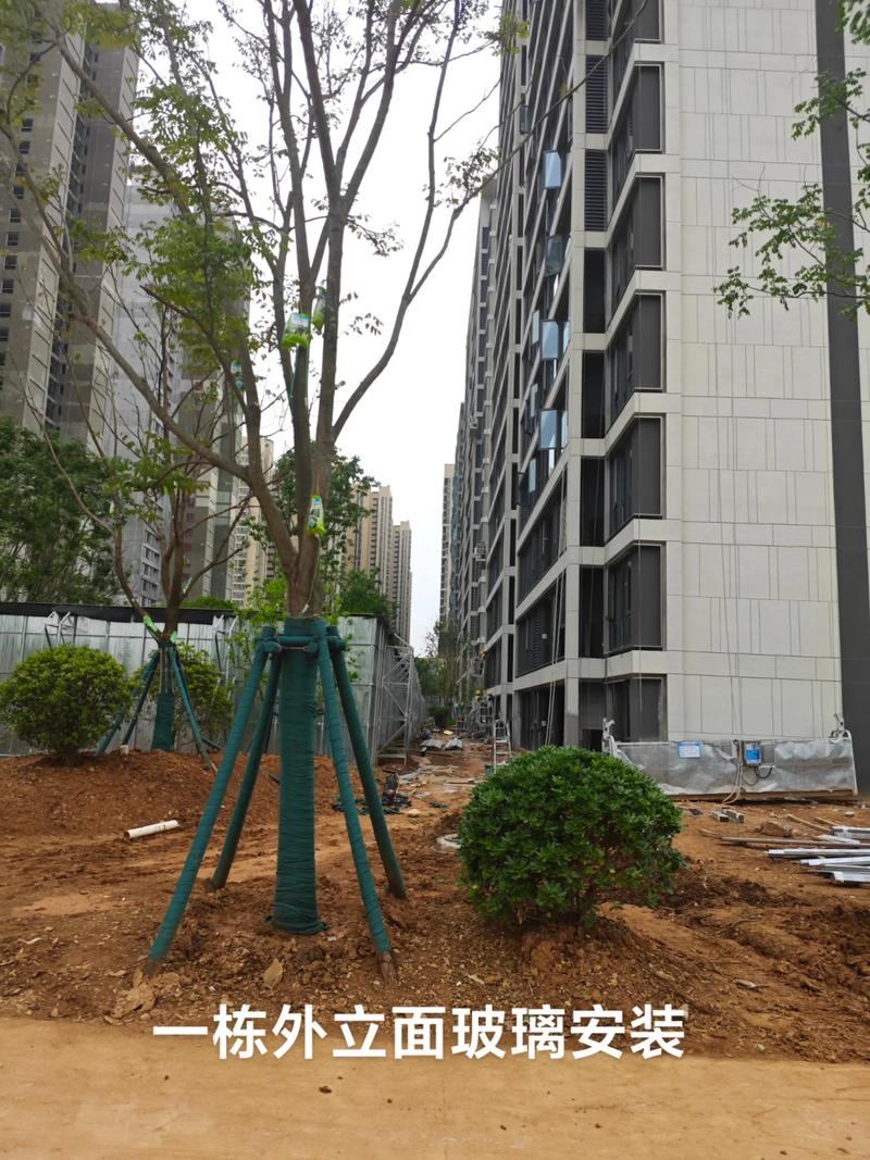 光谷中央公園園林綠化工程施工進(jìn)展順利，打造生態(tài)休閑新地標(biāo)