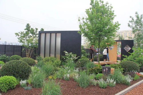 解讀園林綠化施工全過程，教你如何成為綠化行業(yè)大佬