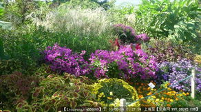 園林綠化工程全流程資料指南 從設(shè)計(jì)圖紙到實(shí)景落成