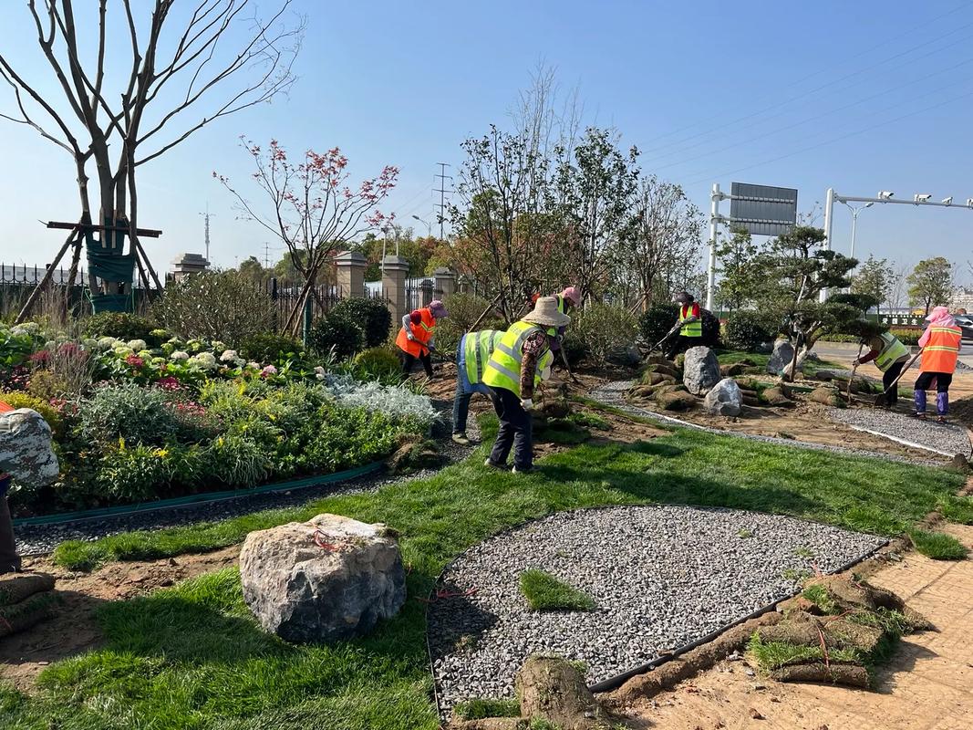 園林綠化工程施工現(xiàn)場實拍 匠心營造綠色家園