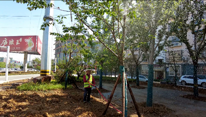 165名園林綠化工人堅(jiān)守崗位 節(jié)日植樹護(hù)綠守護(hù)房縣城市底色